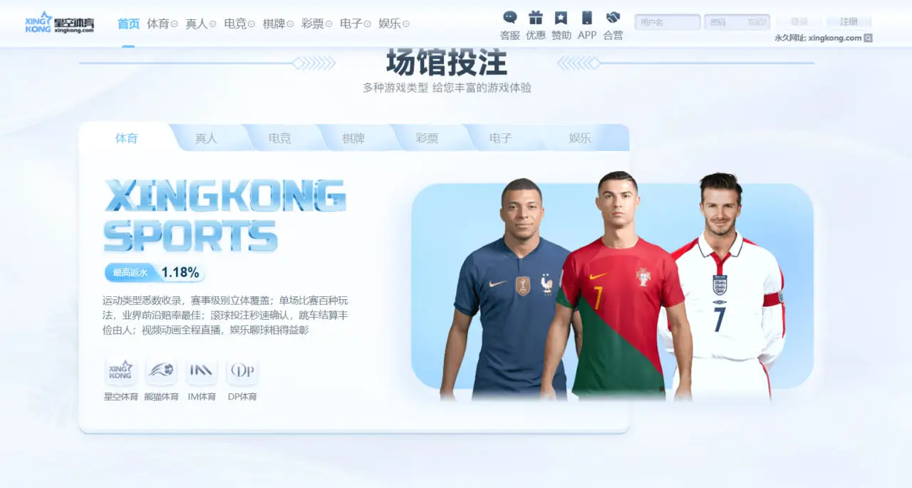 星空体育平台的核心服务体系