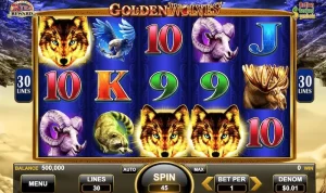 星空体育黄金野狼玩法规则详解